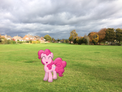 Size: 3264x2448 | Tagged: safe, artist:harpycross, character:pinkie pie, species:earth pony, species:pony, cute, diapinkes, eyes closed, female, field, grass, grass field, happy, irl, mare, park, photo, photoshop, ponies in real life, smiling, smiling at you, solo, tree, vector