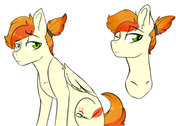 Size: 3700x2652 | Tagged: safe, artist:shiny-cooler, oc, oc only, oc:flame feather, parent:soarin', parent:spitfire, parents:soarinfire, species:pegasus, species:pony, female, mare, offspring, solo