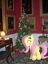 Size: 2736x3648 | Tagged: safe, artist:harpycross, character:fluttershy, species:pegasus, species:pony, blushing, book, chair, christmas, christmas lights, christmas tree, clavichord, cute, decoration, female, holiday, holly, irl, mare, photo, photoshop, ponies in real life, present, shyabetes, smiling, solo, table, tree, updated, vector