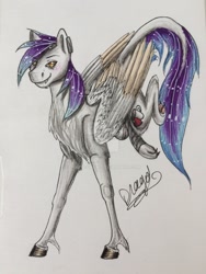 Size: 1024x1365 | Tagged: safe, artist:drago-draw, oc, oc only, species:pegasus, species:pony, commission, solo, traditional art