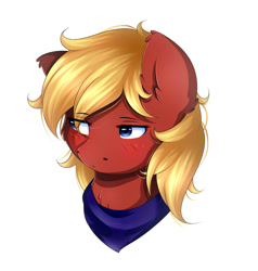 Size: 1906x2000 | Tagged: safe, artist:sweesear, oc, oc only, oc:ruby rhythm, species:pegasus, species:pony, blushing, brooding, bust, clothing, looking away, scarf, simple background, solo, white background, ych result