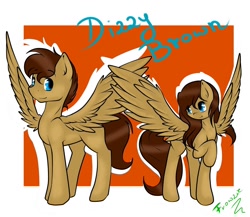 Size: 1136x984 | Tagged: safe, artist:frowfrow, oc, oc only, oc:dizzy, species:pegasus, species:pony, female, male, reference sheet