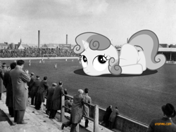 Size: 1024x768 | Tagged: safe, artist:somerandomminion, character:sweetie belle, species:human, species:pony, species:unicorn, black and white, city, dundee, giant pony, grayscale, irl, macro, mega sweetie belle, monochrome, photo, ponies in real life, scotland, stadium