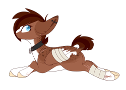 Size: 1024x737 | Tagged: safe, artist:kiara-kitten, oc, oc only, oc:coco, species:pegasus, species:pony, g4, bandage, coat markings, colored hooves, colored pupils, cute, female, heart eyes, hooves, looking at you, lying down, mare, ocbetes, pegasus oc, prone, simple background, socks (coat marking), solo, sploot, transparent background, unshorn fetlocks, wingding eyes