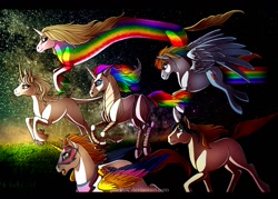 Size: 1224x878 | Tagged: safe, artist:pocki07, character:rainbow dash, species:alicorn, species:classical unicorn, species:pegasus, species:pony, species:unicorn, adventure time, amalthea, cloven hooves, crossover, horse, lady rainicorn, leonine tail, rainbow brite, robot unicorn attack, she-ra and the princesses of power, starlite, swift wind, the last unicorn, unshorn fetlocks