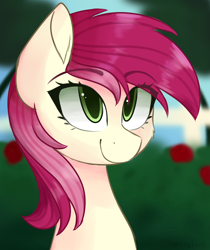 Size: 1338x1594 | Tagged: safe, artist:imbirgiana, character:roseluck, species:pony, bust, female, mare, solo