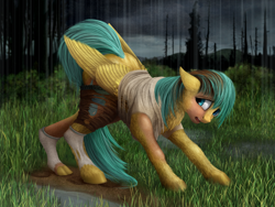 Size: 1000x750 | Tagged: safe, artist:geoffrey mcdermott, character:sunshower raindrops, species:pegasus, species:pony, all fours, clothing, female, floppy ears, fluffy, hoofprints, human to pony, looking back, open mouth, rain, ripping clothes, shirt, short, socks, solo, transformation
