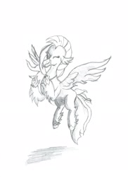 Size: 1700x2338 | Tagged: safe, artist:joey012, character:silverstream, species:classical hippogriff, species:hippogriff, female, grayscale, monochrome, pencil drawing, solo, traditional art
