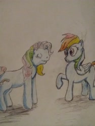 Size: 3120x4160 | Tagged: safe, artist:joey012, derpibooru original, character:rainbow dash, species:earth pony, species:pegasus, species:pony, g3, 35th anniversary, generation leap, looking at each other, pencil drawing, simple background, traditional art