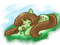 Size: 800x600 | Tagged: safe, artist:cloverminto, oc, oc only, species:earth pony, species:pony, female, mare, prone, sleeping, solo