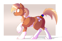 Size: 1024x683 | Tagged: safe, artist:tehshockwave, oc, oc only, species:earth pony, species:pony, blep, male, raised hoof, silly, solo, stallion, tail wrap, tongue out, unshorn fetlocks