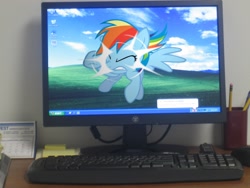 Size: 2592x1944 | Tagged: safe, artist:hachaosagent, character:rainbow dash, against glass, computer, fourth wall, glass, irl, photo, windows, windows xp