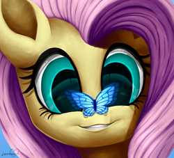 Size: 5500x5000 | Tagged: safe, artist:lavenderheartsmlp, character:fluttershy, species:pony, absurd resolution, bust, butterfly, butterfly on nose, close-up, cute, female, insect on nose, portrait, shyabetes, solo