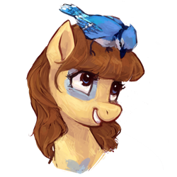 Size: 1024x1024 | Tagged: safe, artist:johling, oc, oc only, species:bird, species:earth pony, species:pony, blue jay, bust, female, looking down, mare, portrait, simple background, sitting on head, smiling, transparent background