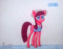 Size: 1140x878 | Tagged: safe, artist:dialysis2day, oc, oc:rosy, species:earth pony, species:pony, clothing, female, hat, mare, shirt, solo, traditional art