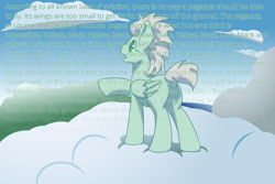 Size: 3000x2000 | Tagged: safe, alternate version, artist:jennithedragon, oc, oc only, oc:the ancient aviator, species:pegasus, species:pony, bee movie, bee movie script, cloud, legends of equestria, male, meme, scenery, solo, stallion