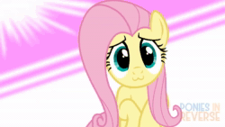 Size: 1920x1080 | Tagged: safe, artist:reverse studios, edit, character:fluttershy, species:pony, 60 fps, :3, animated, cute, female, happy, mare, music, shyabetes, solo, sound, webm, wings
