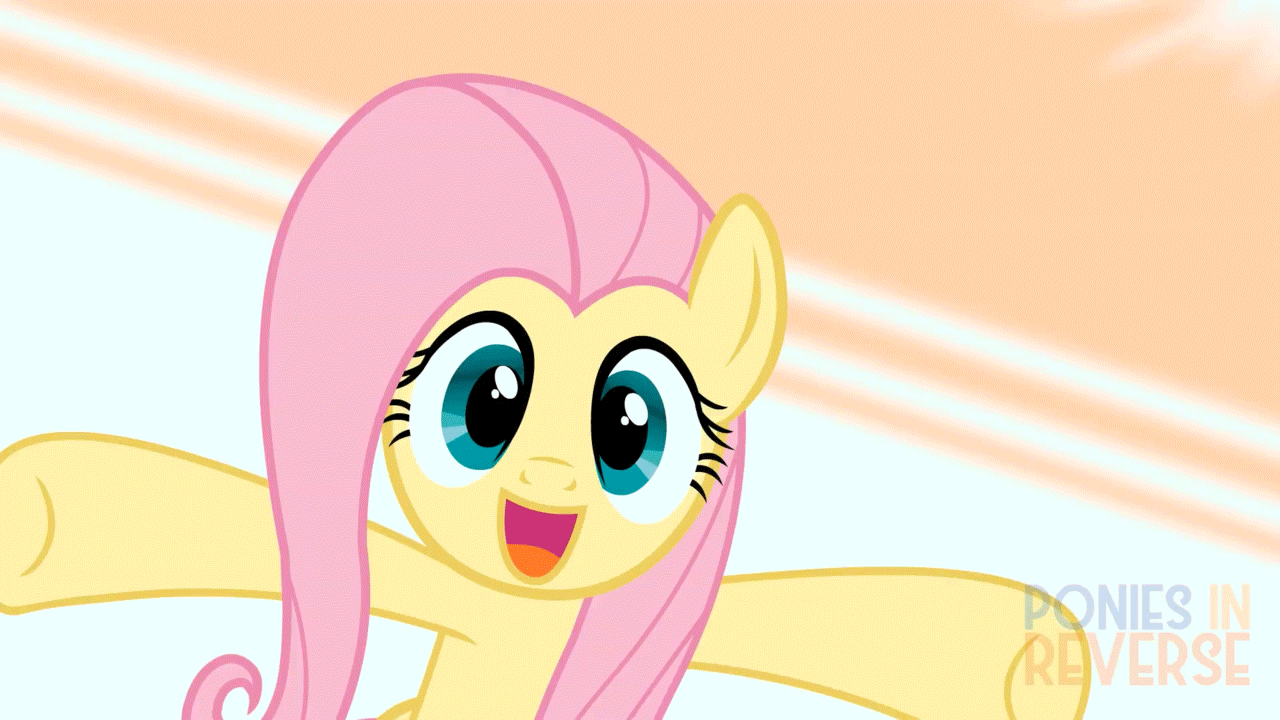 Size: 1280x720 | Tagged: safe, artist:reverse studios, character:fluttershy, species:pony, :3, :d, animated, cute, dawwww, female, happy, hnnng, looking at you, mare, ponies in reverse is trying to murder us, shyabetes, solo, weapons-grade cute, wings