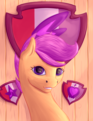 Size: 1000x1300 | Tagged: safe, artist:aterhut, character:scootaloo, species:pony, bust, cutie mark, eye reflection, female, looking at you, mare, older, older scootaloo, reflection, solo, the cmc's cutie marks