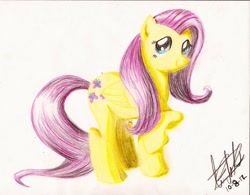 Size: 2183x1700 | Tagged: safe, artist:fizzyrox, character:fluttershy, species:pegasus, species:pony, female, mare, raised hoof, signature, solo, traditional art