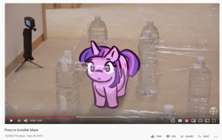 Size: 1180x744 | Tagged: safe, artist:burgeroise, character:twilight sparkle, species:alicorn, species:pony, behaving like a cat, bottle, bottlecap, cream heroes, cute, female, irl, photo, ponies in real life, ponified animal photo, ponified animal video, solo, twiabetes, youtube