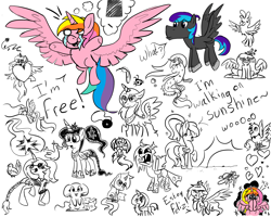 Size: 2000x1600 | Tagged: safe, artist:angiepeggy2114, oc, oc:evening light, species:alicorn, species:bird, species:changeling, species:duck, species:griffon, species:pegasus, species:pony, species:seapony (g4), species:unicorn, alicorn oc, changeling queen, cheese, clothing, female, food, hat, heart, insect, ladybug, mare, mouse, sketch, sketch dump, spanish, walking on sunshine, white eyes