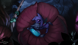 Size: 5251x3016 | Tagged: safe, artist:colochenni, species:changeling, comforting, drawthread, flower, nature, night, plant, purple changeling, sleeping