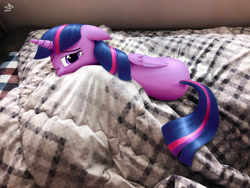 Size: 4032x3024 | Tagged: safe, artist:sheeppony, character:twilight sparkle, character:twilight sparkle (alicorn), species:alicorn, species:pony, g4, bed, behaving like a cat, cute, eyebrows, female, floppy ears, irl, looking at you, mare, one eye closed, photo, ponies in real life, solo, twiabetes, twilight cat