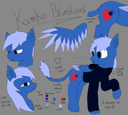 Size: 2000x1800 | Tagged: safe, artist:thekamko, derpibooru original, oc, oc only, oc:kamko blueblood, species:bat pony, species:dracony, species:dragon, species:pony, chest fluff, clothing, colored sketch, colored wings, colored wingtips, ear fluff, fangs, hoodie, hybrid, raised hoof, reference sheet, smiling, solo, upset