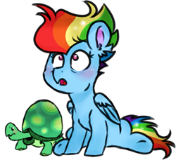 Size: 781x712 | Tagged: safe, artist:honneymoonmlp, character:rainbow dash, character:tank, species:pegasus, species:pony, older, older rainbow dash