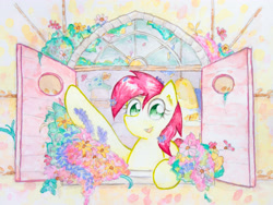 Size: 4032x3024 | Tagged: safe, artist:papersurgery, character:roseluck, species:earth pony, species:pony, cute, female, flower, looking at you, mare, open mouth, solo, traditional art, watercolor painting, window