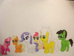 Size: 4032x3024 | Tagged: safe, artist:carlos324, character:applejack, character:cheerilee, character:rarity, character:roseluck, oc, oc:colt halo knight, oc:colt israel yabuki, oc:halo knight, oc:israel yabuki, species:earth pony, species:pony, species:unicorn, female, filly, filly applejack, filly cheerilee, filly rarity, filly roseluck, ludwig van beethoven, mini beethoven, traditional art, younger