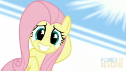 Size: 854x480 | Tagged: safe, artist:reverse studios, edit, character:fluttershy, species:pony, :3, animated, cute, eyes closed, female, grin, happy, mare, music, open mouth, shyabetes, smiling, solo, sound, webm, wings