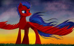 Size: 4000x2500 | Tagged: safe, artist:nixworld, oc, oc only, oc:swift wing, species:pegasus, species:pony, fanfic art, frown, grass, high res, male, oc pegasus, sky, solo, stallion, wings