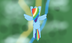 Size: 1976x1202 | Tagged: safe, artist:dzamie, character:rainbow dash, species:pegasus, species:pony, colored, digital art, female, flying, mare, solo, top down