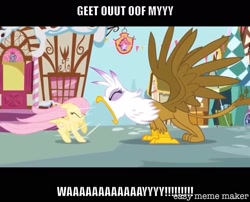 Size: 1534x1237 | Tagged: safe, artist:titus16s, edit, edited screencap, screencap, character:fluttershy, character:gilda, species:pegasus, species:pony, episode:griffon the brush-off, g4, my little pony: friendship is magic, caption, image macro, meme, screaming, text