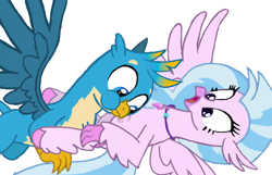 Size: 1080x696 | Tagged: safe, artist:princessdestiny200i, character:gallus, character:silverstream, species:griffon, species:hippogriff, ship:gallstream, cute, diastreamies, female, gallabetes, laughing, looking down, lying down, male, on back, raspberry, shipping, straight, suprised look, tickling, tongue out, tummy buzz