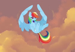 Size: 2560x1772 | Tagged: safe, artist:shiny-dust, character:rainbow dash, species:pegasus, species:pony, cloud, dusk, female, flying, mare, signature, sky, solo, spread wings, wings