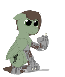 Size: 2996x3516 | Tagged: safe, artist:capt-sierrasparx, oc, oc only, oc:grounder, species:pegasus, species:pony, fallout equestria, g4, amputee, brand, cyborg, dashite, dashite brand, fallout, female, flipping off, foe adventures, mare, simple background, solo, talons, transparent background