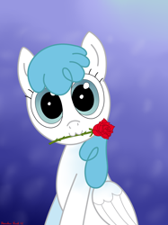 Size: 3016x4032 | Tagged: safe, artist:rainbowšpekgs, character:white lightning, species:pegasus, species:pony, g4, :3, background pony, bust, cute, female, flower, looking at you, rose, simple background, sitting, solo, wings