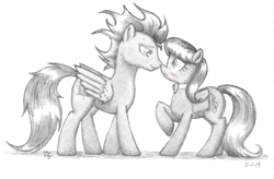 Size: 4200x2748 | Tagged: safe, artist:philo5, character:octavia melody, character:soarin', species:earth pony, species:pegasus, species:pony, g4, blushing, boop, crack shipping, female, male, monochrome, neo noir, noseboop, partial color, shipping, soarintavia, straight