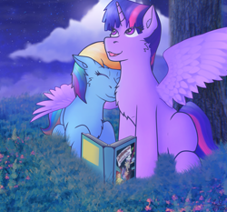Size: 3128x2914 | Tagged: safe, artist:legionsunite, character:rainbow dash, character:twilight sparkle, character:twilight sparkle (alicorn), species:alicorn, species:pegasus, species:pony, ship:twidash, g4, book, chest fluff, daring do and the sapphire statue, daring do book, female, hug, lesbian, looking up, night, redraw, shipping, sitting, starry night, stars, winghug
