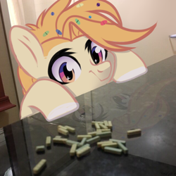 Size: 640x640 | Tagged: safe, artist:shiny-dust, oc, oc only, species:pony, g4, irl, photo, ponies in real life, solo