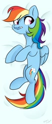 Size: 452x1080 | Tagged: safe, artist:shiny-dust, character:rainbow dash, species:pegasus, species:pony, g4, body pillow, body pillow design, lying down, on back, solo