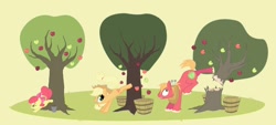 Size: 1600x720 | Tagged: safe, artist:justdayside, character:apple bloom, character:applejack, character:big mcintosh, species:earth pony, species:pony, apple siblings, apple tree, applebucking, male, stallion, tree
