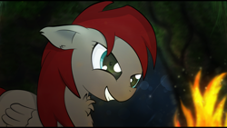 Size: 1920x1080 | Tagged: safe, artist:zipomon, oc, oc only, species:pegasus, species:pony, campfire, chest fluff, eye reflection, female, fire, grin, implied fluttershy, mare, reflection, smiling, solo