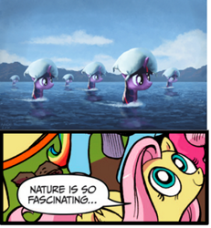 Size: 318x344 | Tagged: safe, artist:moe, edit, character:fluttershy, character:twilight sparkle, spoiler:comic, exploitable meme, meme, nature is so fascinating, ocean, pillow, pillow monsters, surreal, wat, water