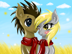 Size: 680x512 | Tagged: safe, artist:silvercommando, character:derpy hooves, character:doctor whooves, character:time turner, species:pegasus, species:pony, ship:doctorderpy, blushing, clothing, female, field, heart eyes, male, mare, scarf, shared clothing, shared scarf, shipping, straight, wingding eyes