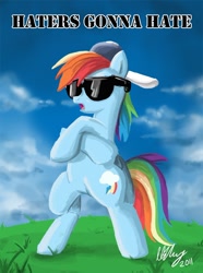 Size: 700x941 | Tagged: safe, artist:projectzuel, character:rainbow dash, species:pegasus, species:pony, bipedal, cloud, cloudy, crossed hooves, female, grass, grass field, haters gonna hate, mare, meme, open mouth, signature, solo, sunglasses