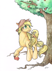 Size: 661x904 | Tagged: safe, artist:fillyphalanx, character:applejack, species:earth pony, species:pony, apple, apple tree, clothing, cowboy hat, female, hat, looking up, mare, obligatory apple, simple background, solo, traditional art, tree, watercolor painting, white background